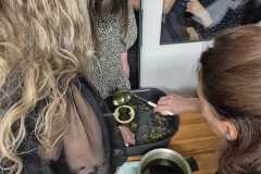IMG-20251126-WA0117