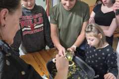 IMG-20251126-WA0126