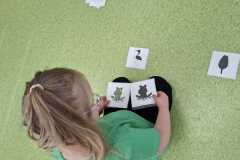 wiosna-zajecia-PS-26-10