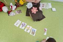 wiosna-zajecia-PS-26-8