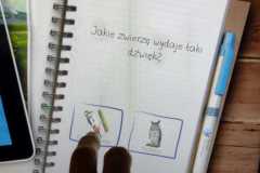 WhatsApp-Image-2025-11-21-at-18.15.202