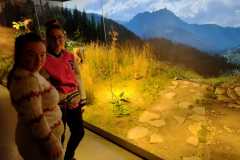 WhatsApp-Image-2025-11-21-at-18.15.242