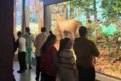 WhatsApp-Image-2025-11-21-at-22.03.091