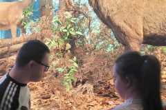 WhatsApp-Image-2025-11-22-at-09.27.00