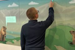 WhatsApp-Image-2025-11-24-at-17.37.37