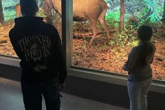 WhatsApp-Image-2025-11-24-at-17.39.41