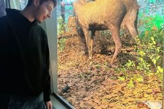 WhatsApp-Image-2025-11-24-at-17.39.411