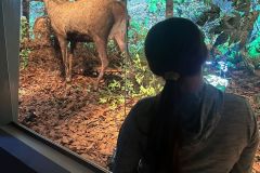 WhatsApp-Image-2025-11-24-at-17.39.42