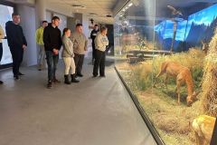 WhatsApp-Image-2025-11-24-at-17.39.48