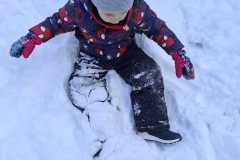 IMG-20260123-WA0024