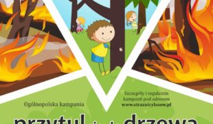 Więcej o: Przytul się do drzewa – zaproszenie do udziału w ogólnopolskiej kampanii
