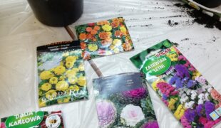 Więcej o: Wiosenny ogródek na parapetach