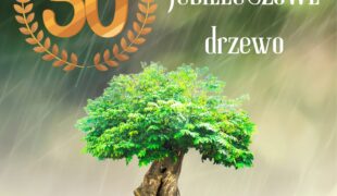 Więcej o: Jubileuszowa „Olusia” – rajska jabłoń