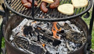 Więcej o: Na czystej ziemi trawa się zieleni…