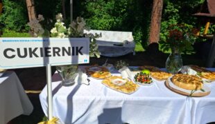 Więcej o: Cukiernicy i gastronomia w akcji podczas Rodzinnego Pikniku Jubileuszowego