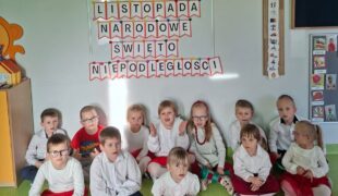 Więcej o: Święto Niepodległości w naszym przedszkolu