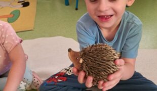 Więcej o: Dzień Jeża w przedszkolu
