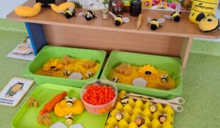 Więcej o: Pszczela przygoda