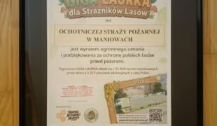 Więcej o: Ogólnopolska Akcja „Giga Laurka dla Strażników Lasów.